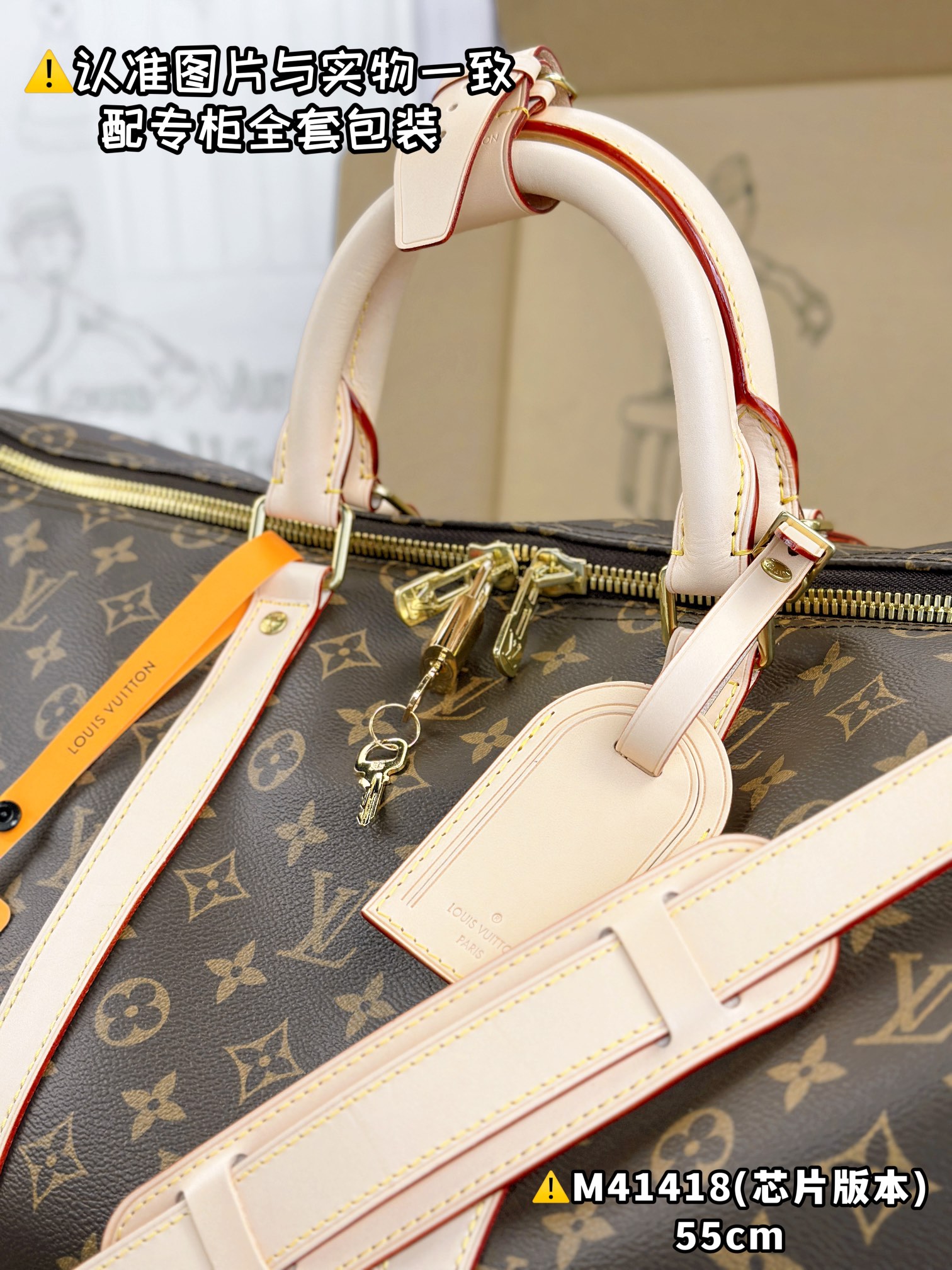 LV Travel Bags